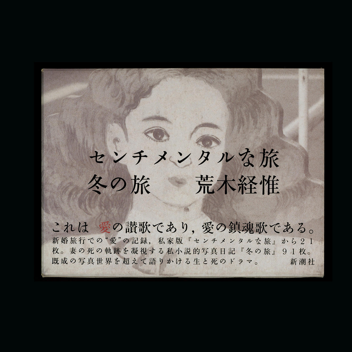 Diary of a Sentimental Journey, Winter Journey - Nobuyoshi Araki (1991)