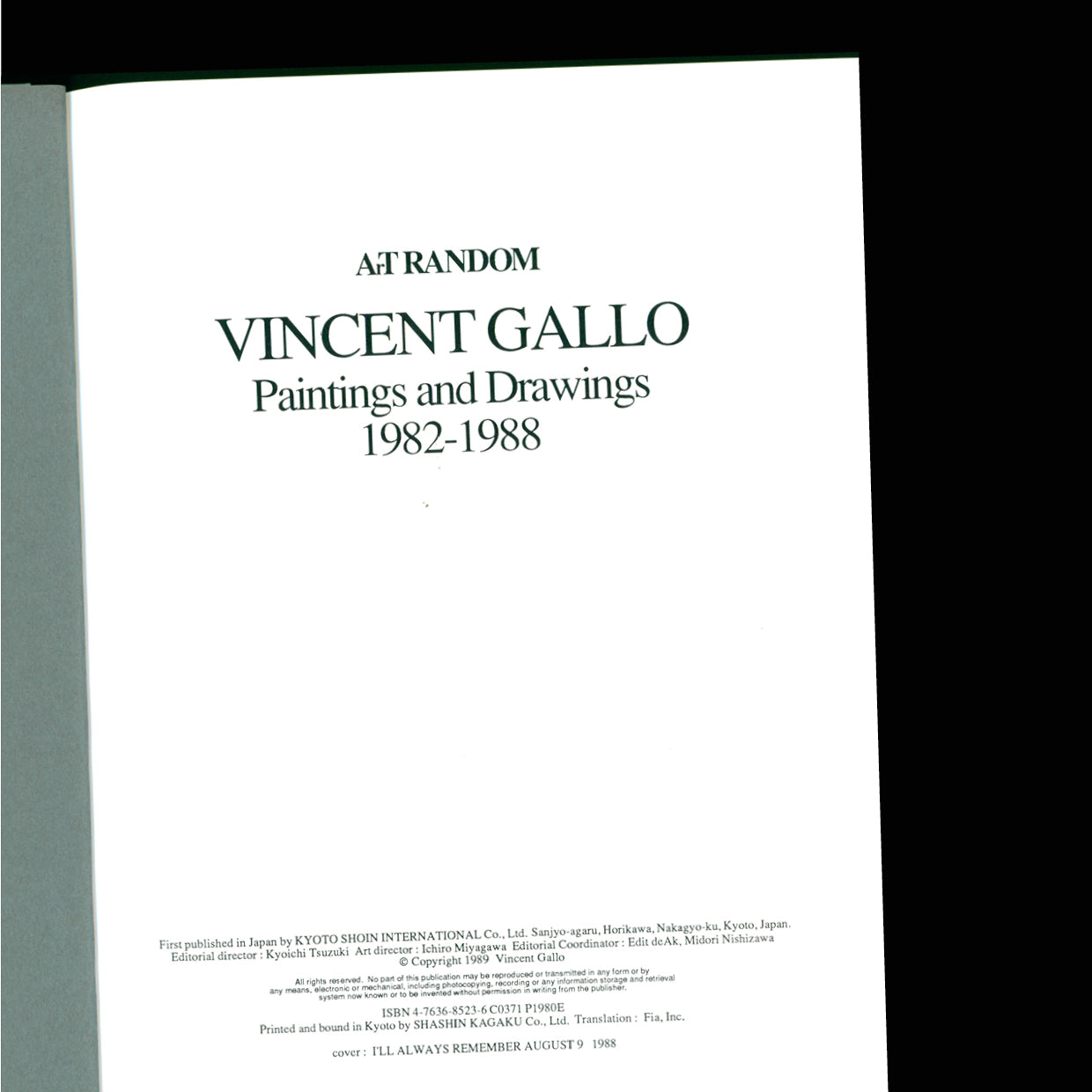 Paintings and Drawings 1982-1988 - Vincent Gallo (1991)