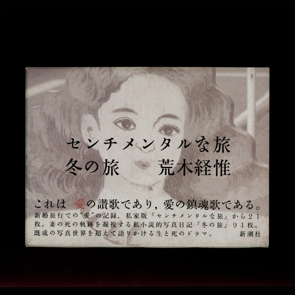 Diary of a Sentimental Journey, Winter Journey - Nobuyoshi Araki (1991)
