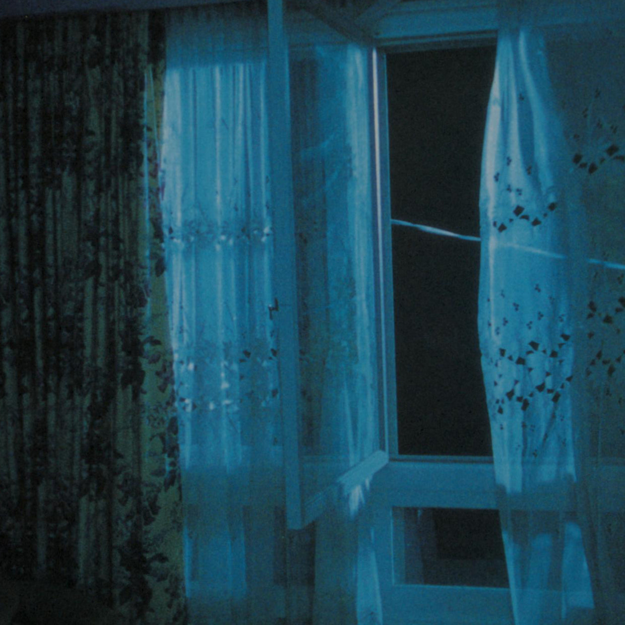 The Virgin Suicides - Sofia Coppola (Petit Grand, 2000)