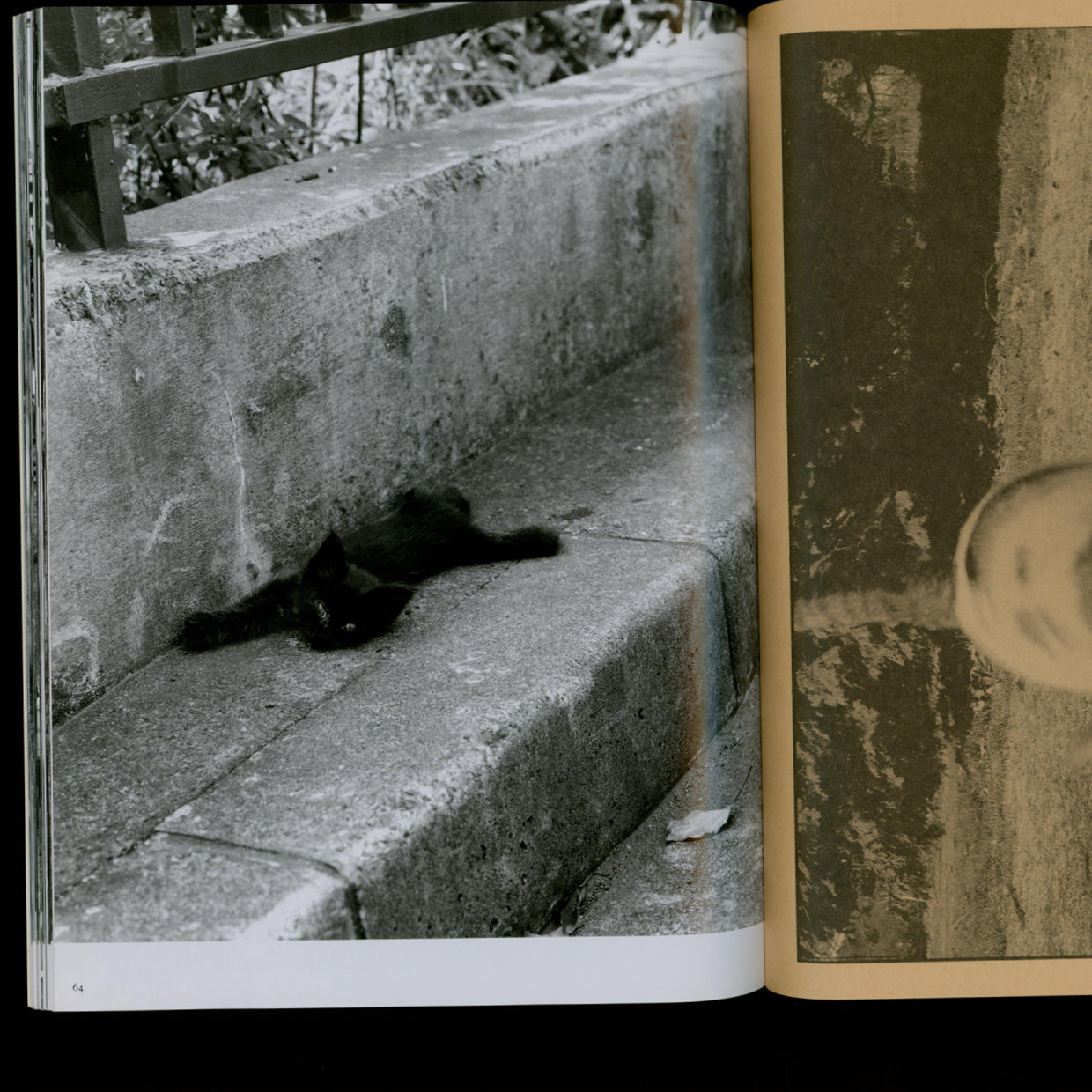 Living Cats in Tokyo - Nobuyoshi Araki (1993)