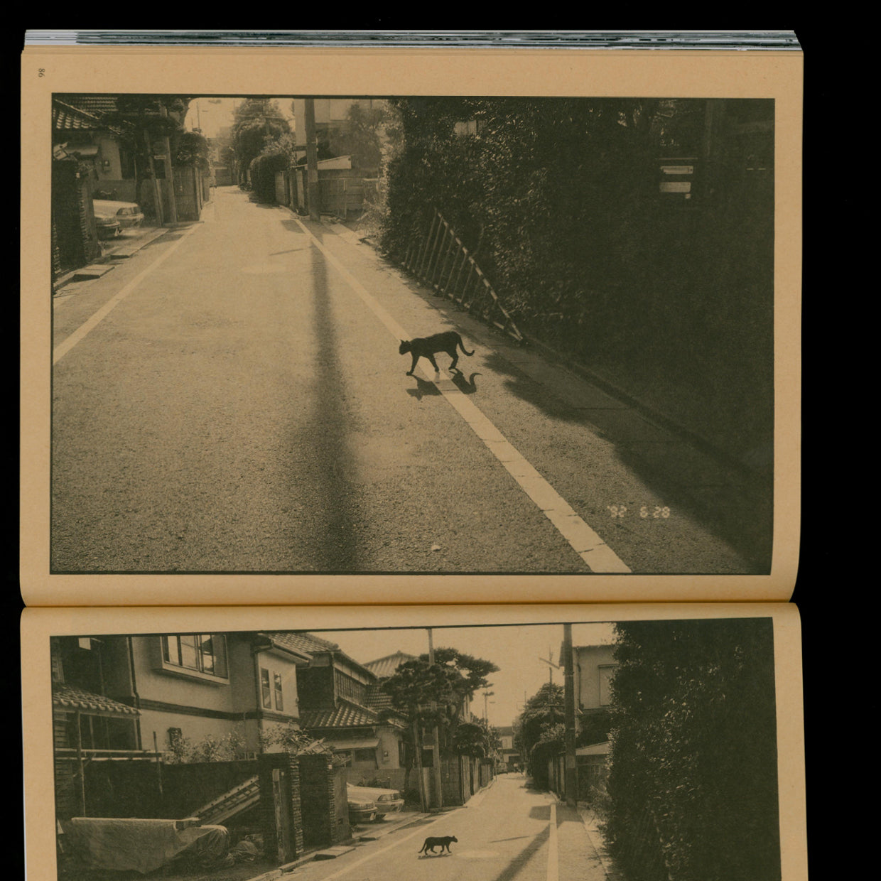 Living Cats in Tokyo - Nobuyoshi Araki (1993)