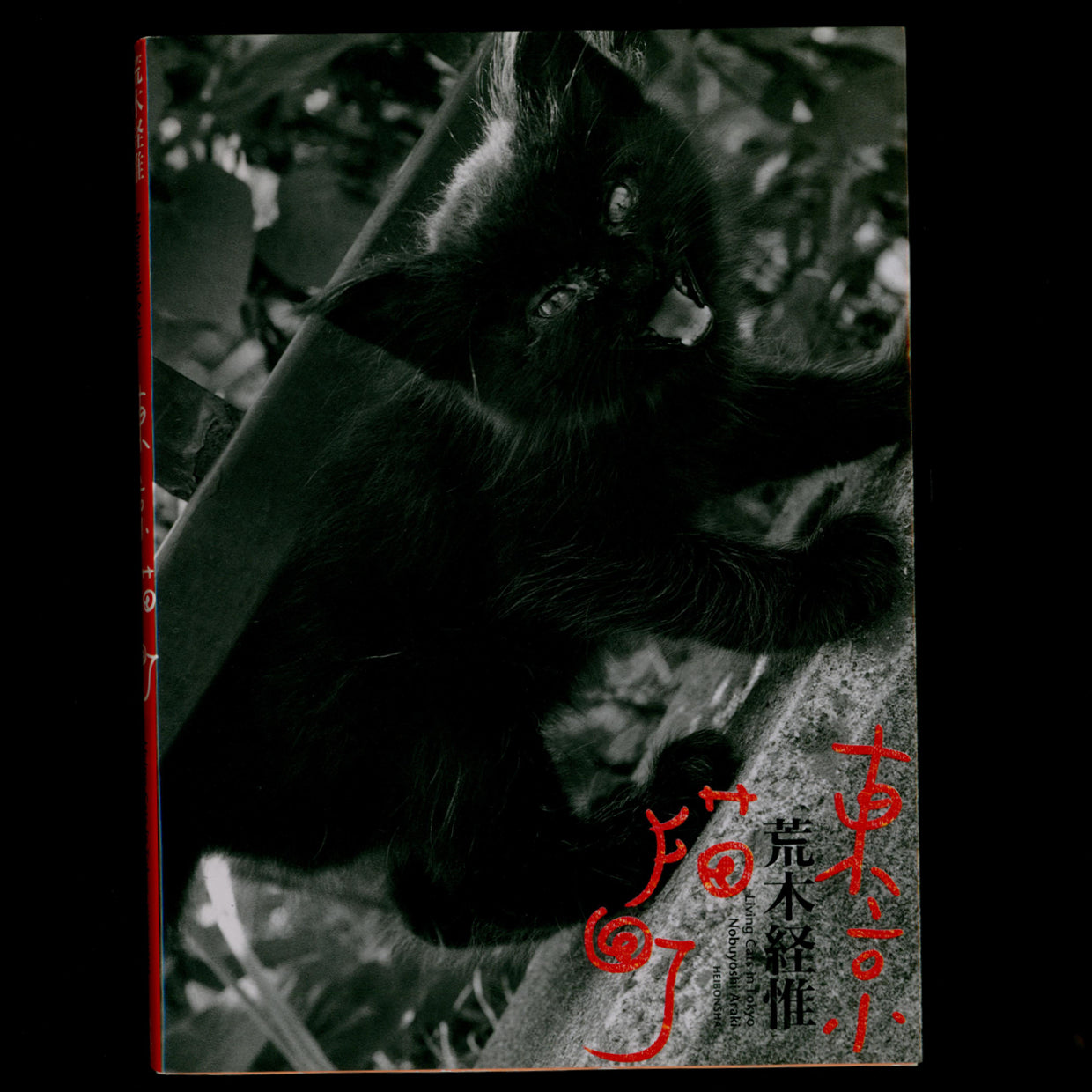 Living Cats in Tokyo - Nobuyoshi Araki (1993)