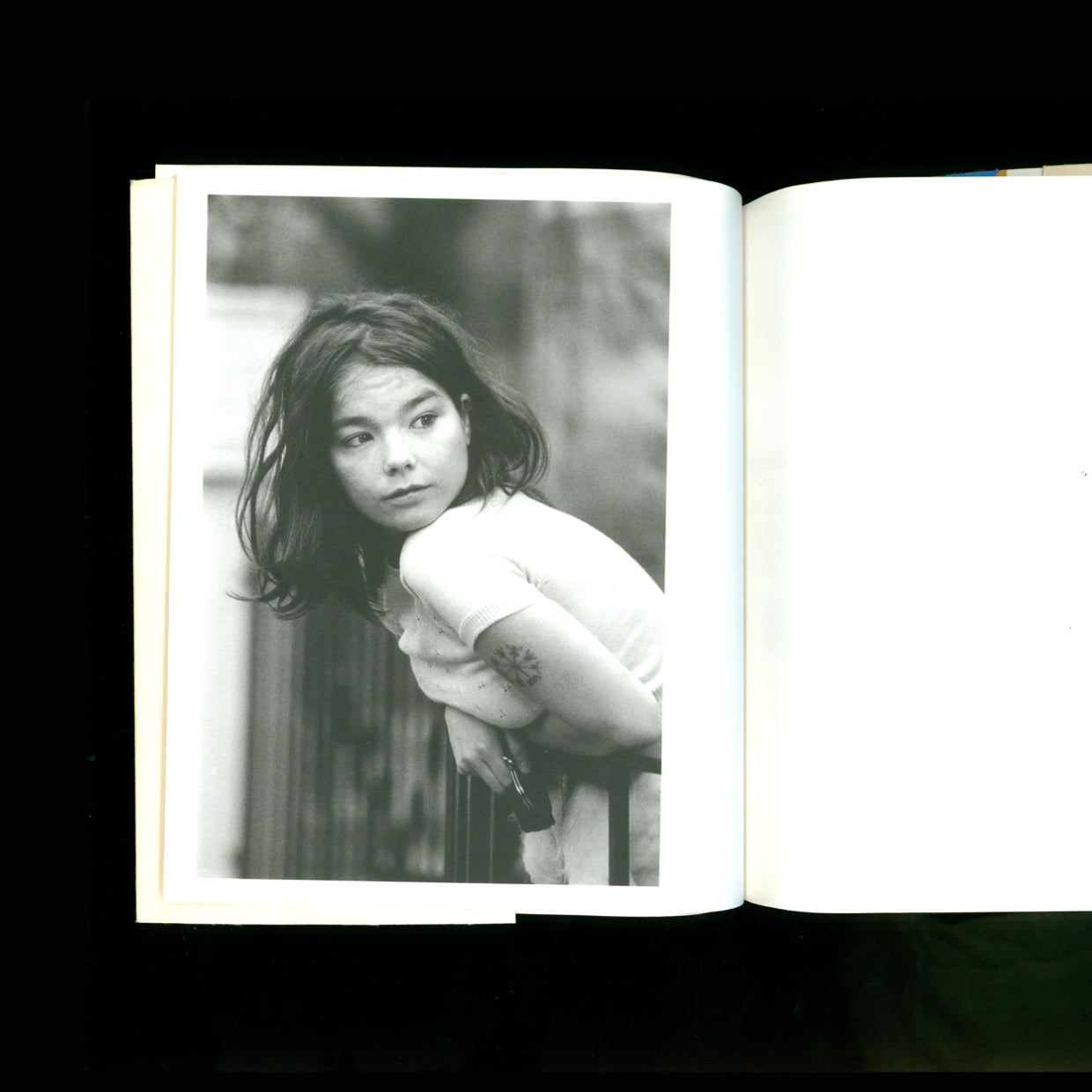 Björk - Björk as a Book (2001)