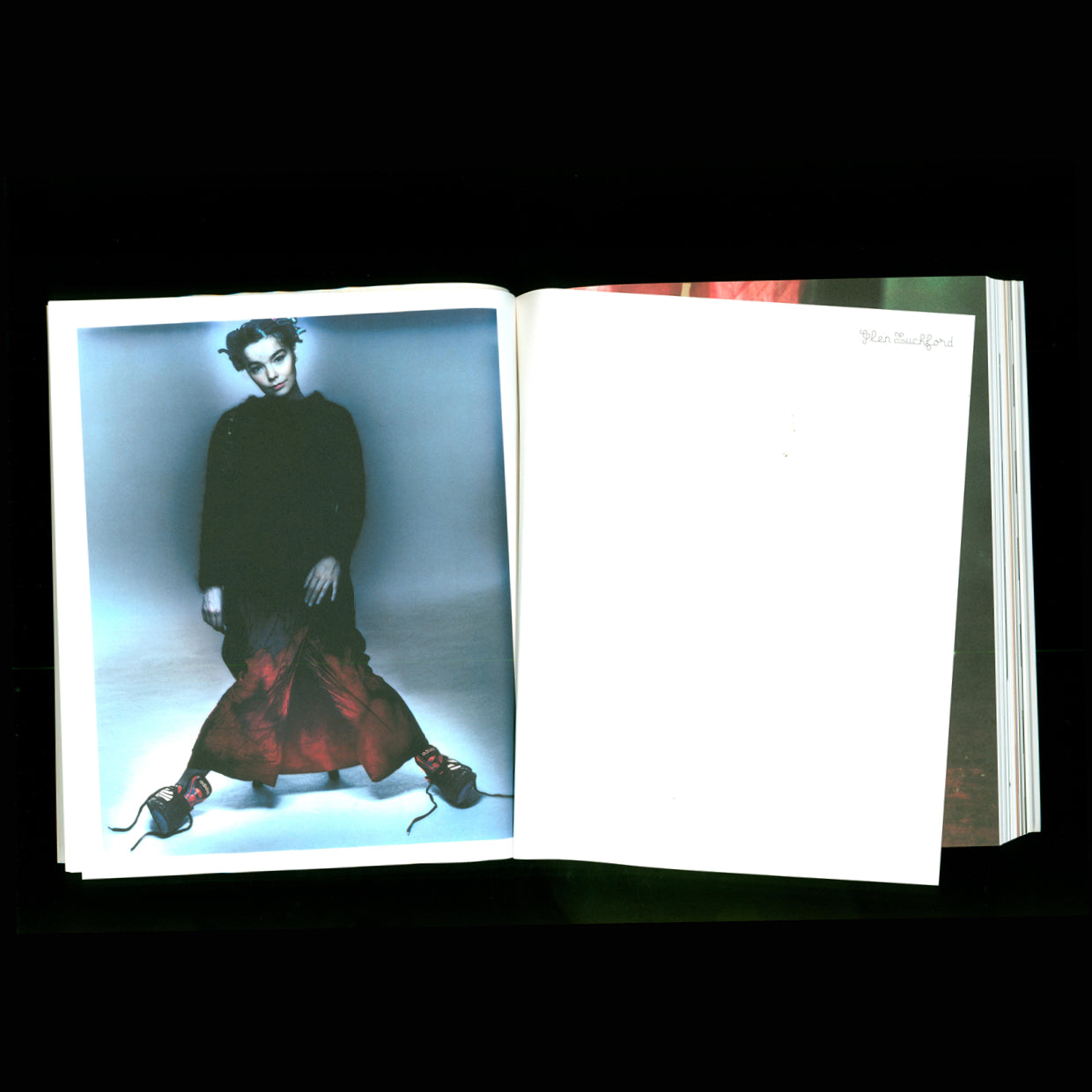 Björk - Björk as a Book (2001)