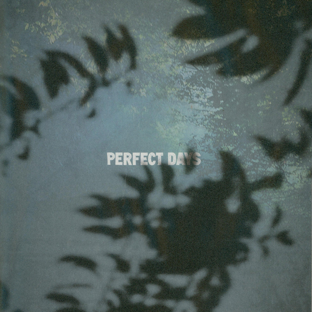 Perfect Days Movie Booklet [B2B - IN STOCK]