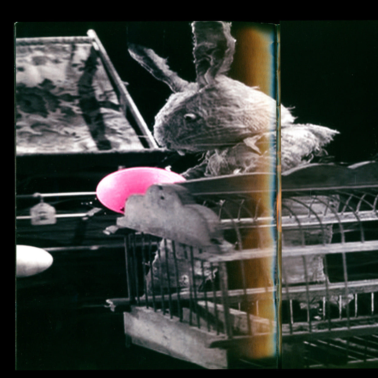 Comme des Garçons - The Quay Brothers DM (2009)