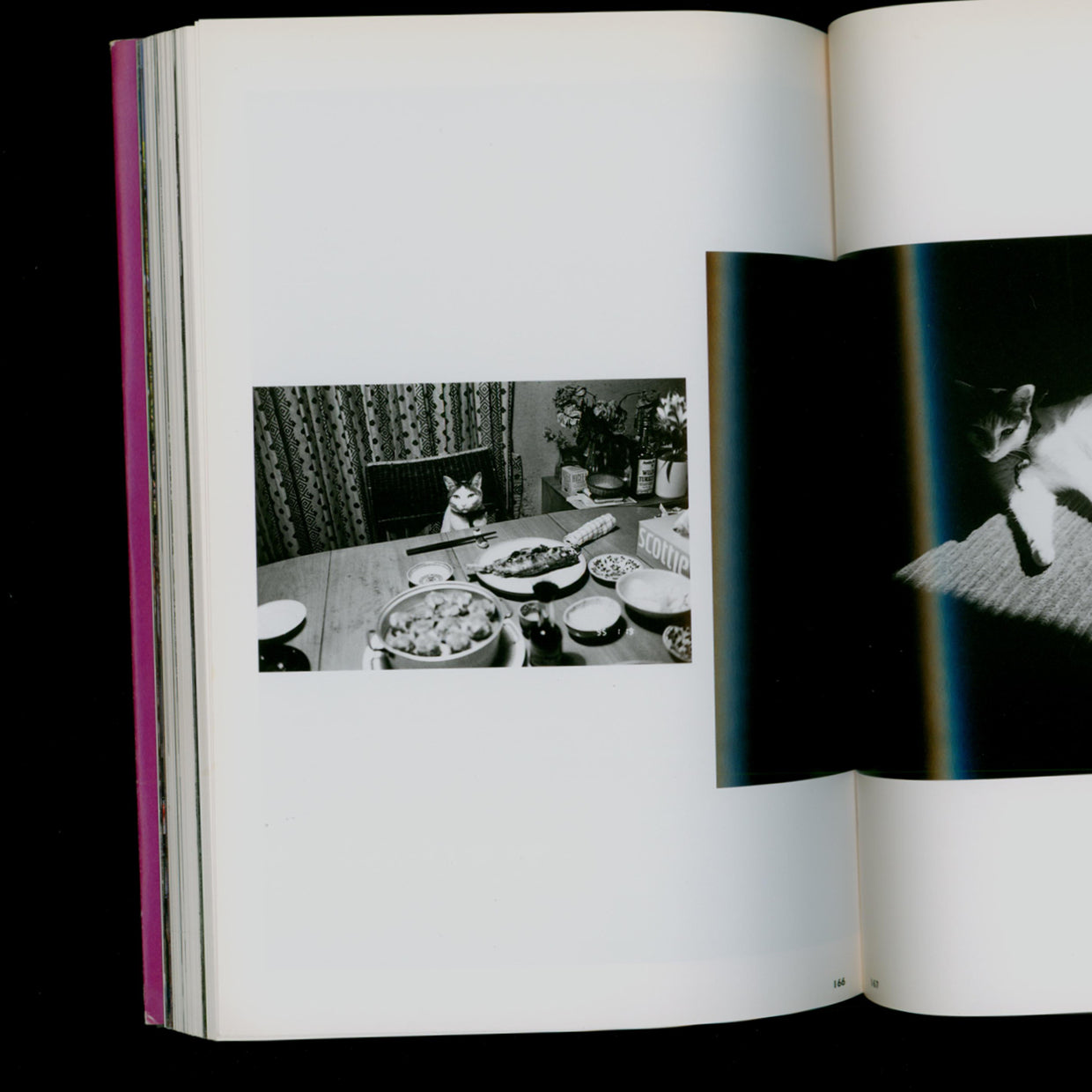Chiro, Araki and 2 Lovers - Nobuyoshi Araki (1997)