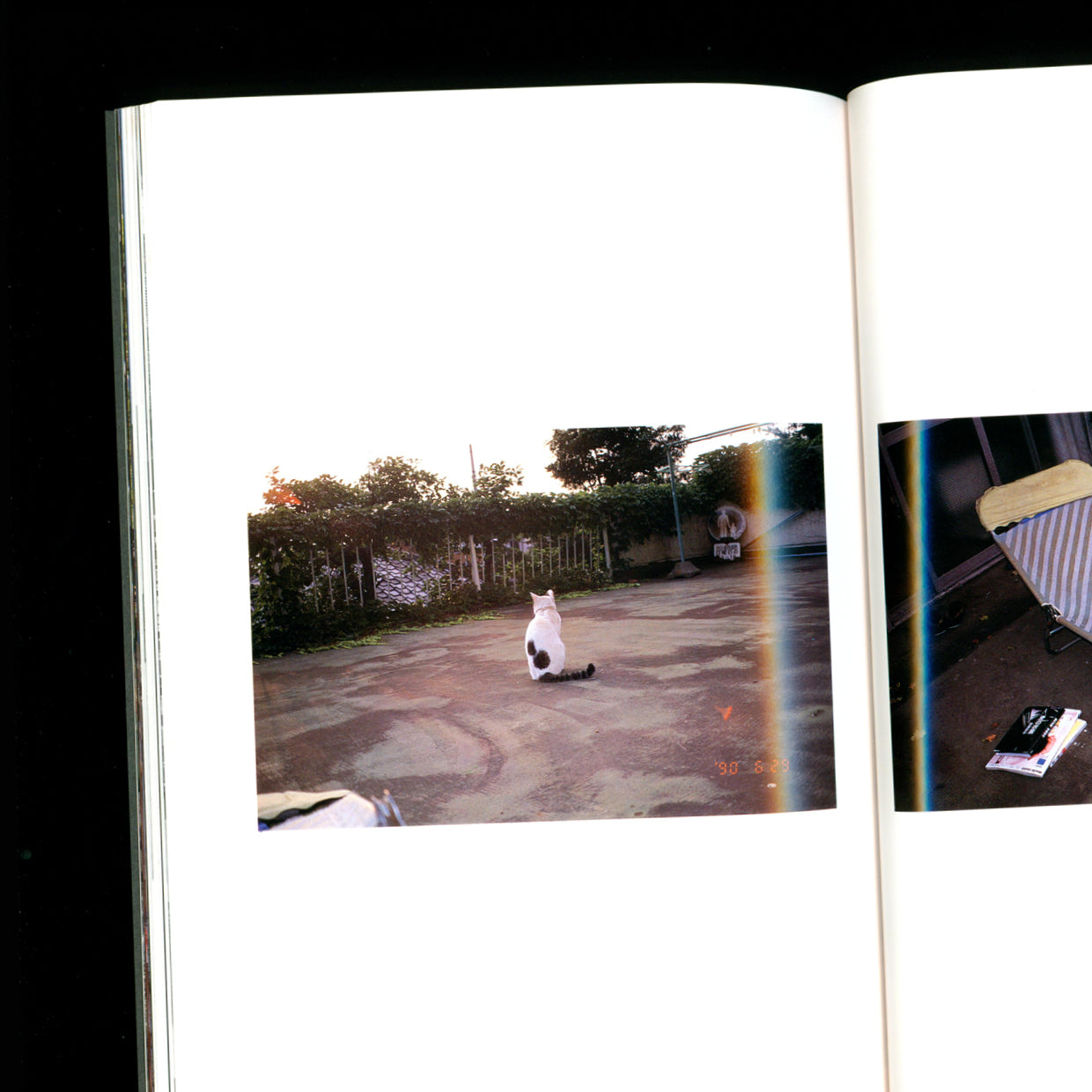 Chiro, Araki and 2 Lovers - Nobuyoshi Araki (1997)