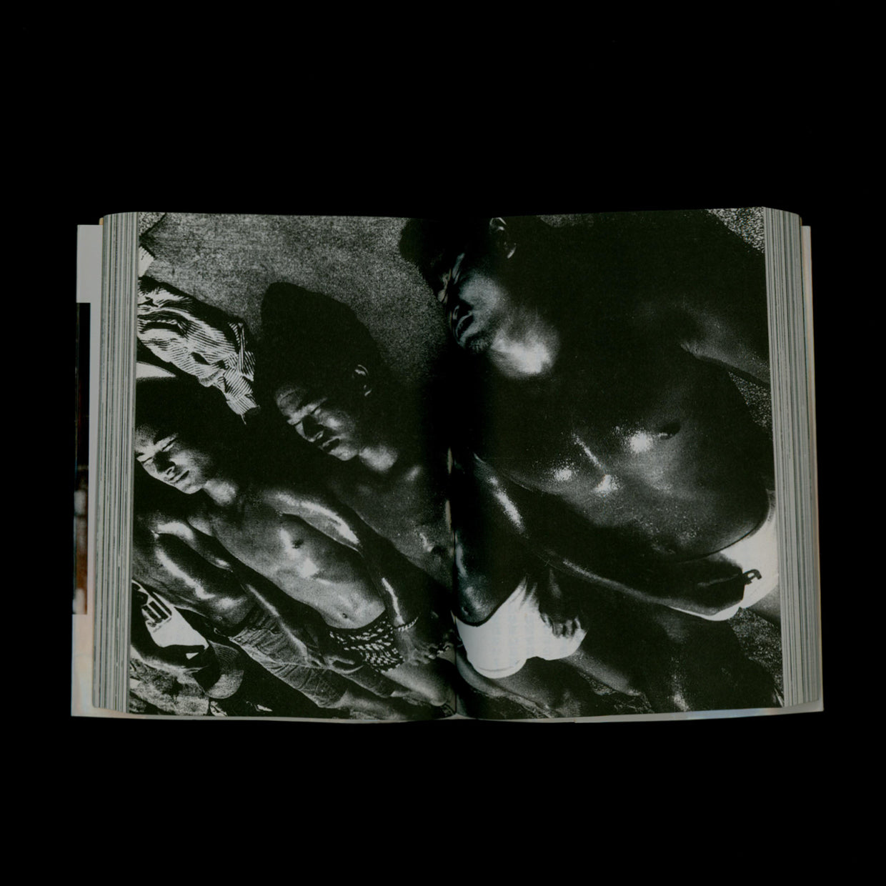 Memories of a Dog - Daido Moriyama (2001)