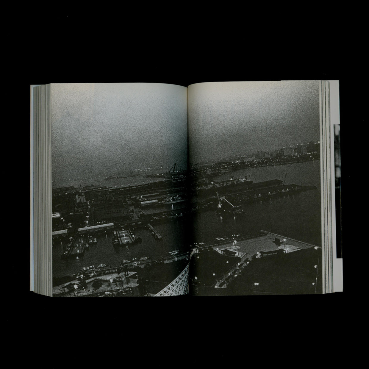 Memories of a Dog - Daido Moriyama (2001)