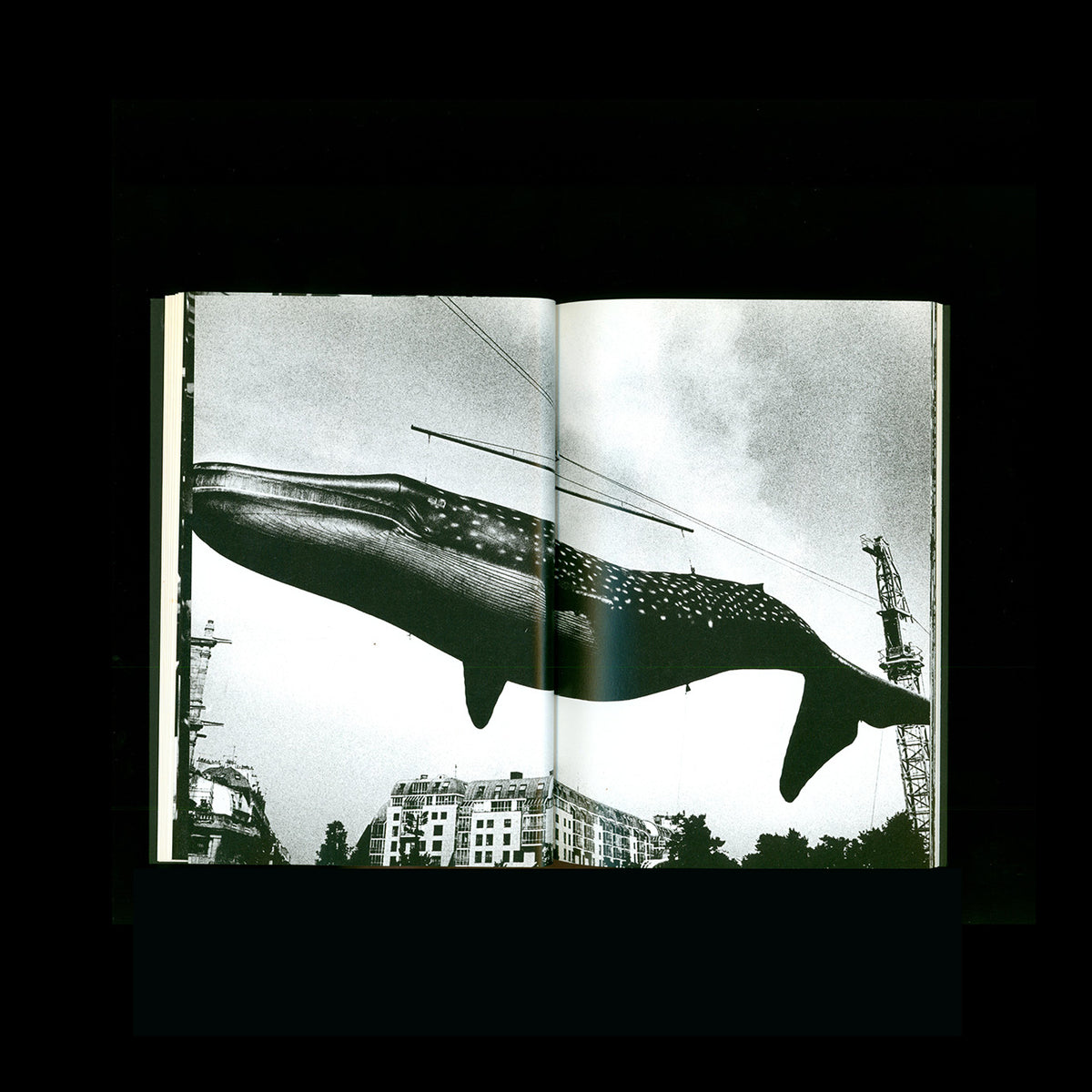 Moriyama Daido - Paris 88/89 (Signed)