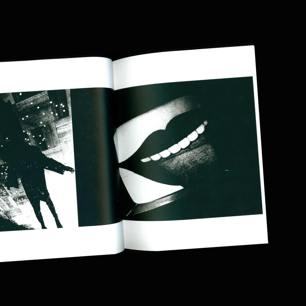 Japan, A Photo Theater - Daido Moriyama (2018)