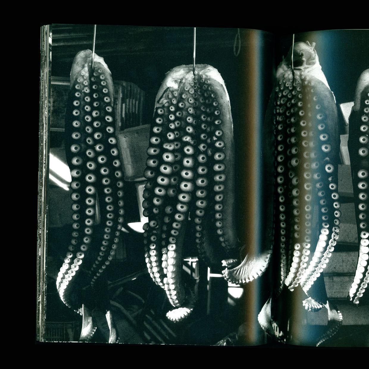 Nothern 3 - Daido Moriyama (2011)