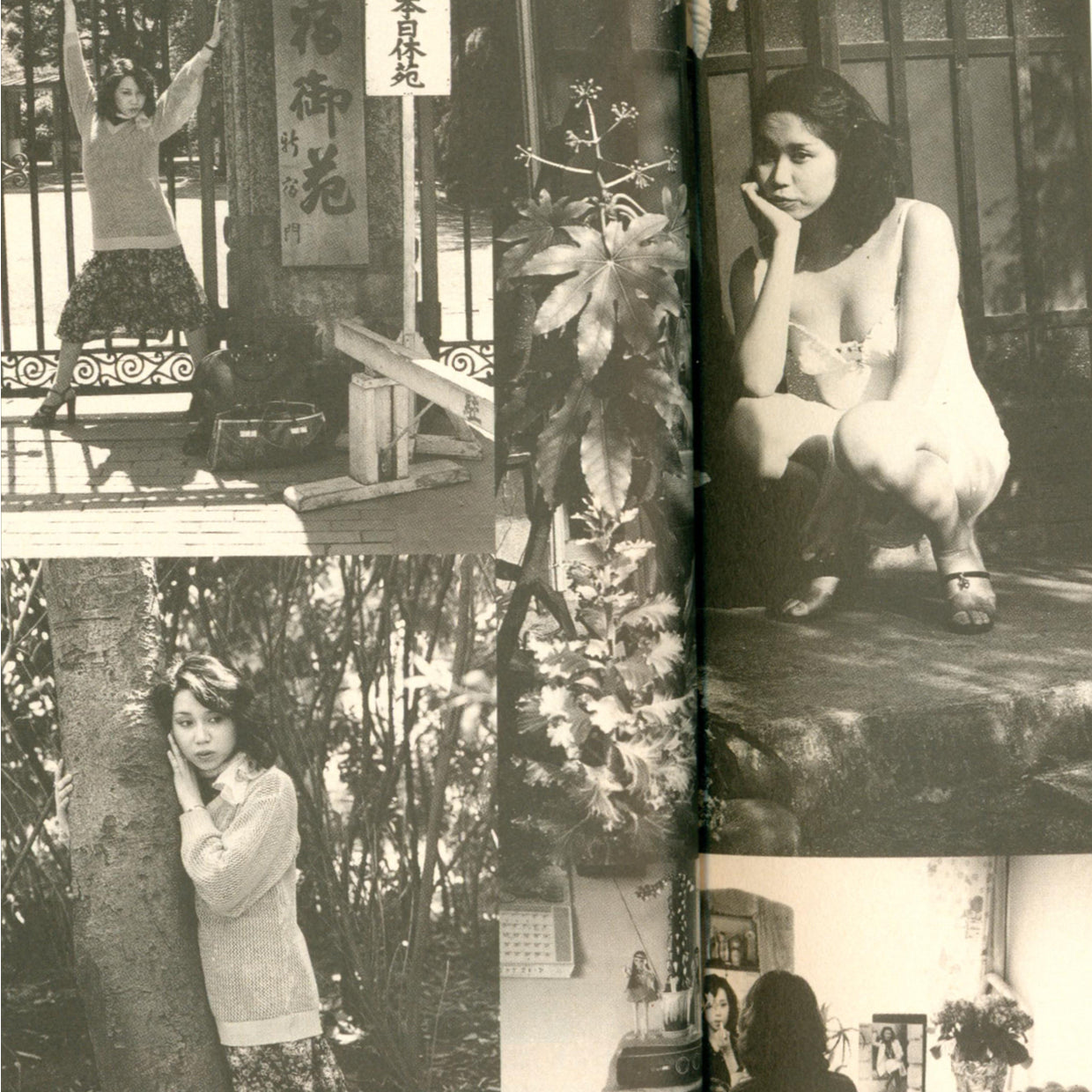 Dramatic Shooting and Fake Reportage vol. 12 - Nobuyoshi Araki (1996)