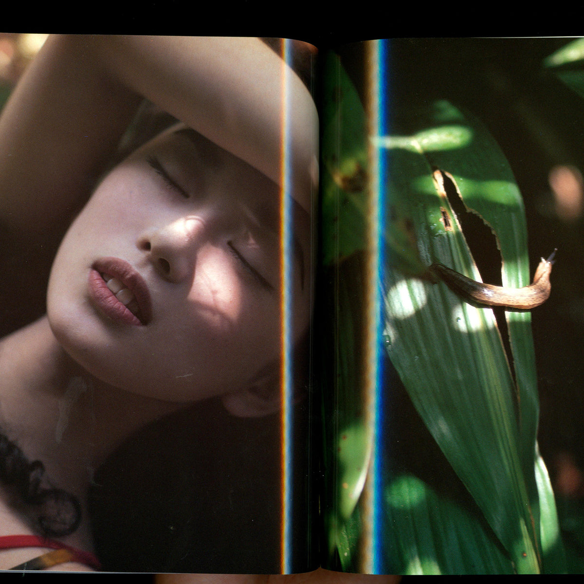 Kishin Shinoyama - Accidents Series 3 with Riona Hazuki (1998)