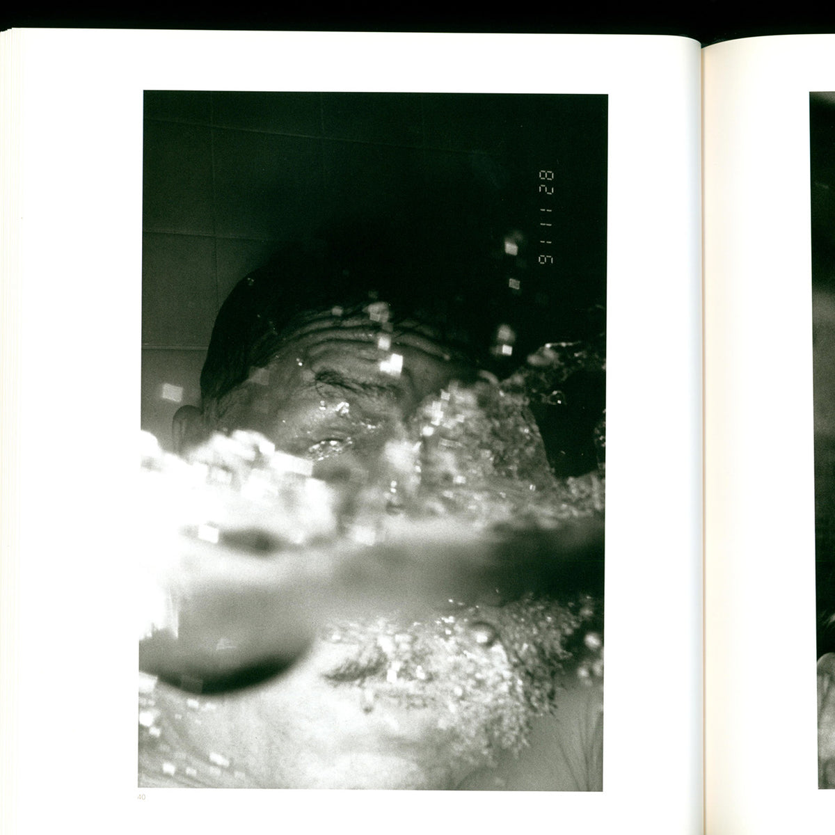 Masahisa Fukase - Bukubuku (2004)