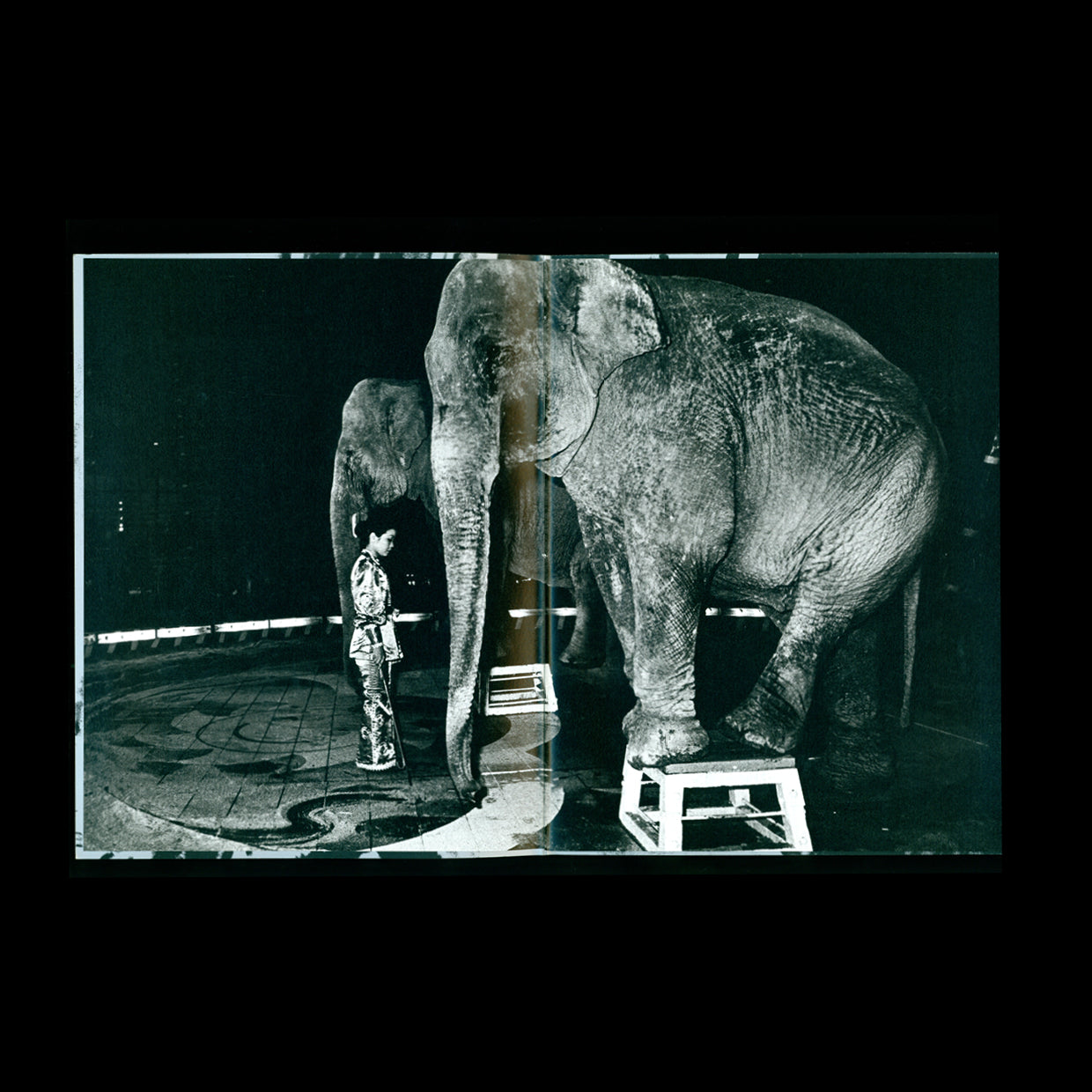 Fukei - Daido Moriyama (2015)
