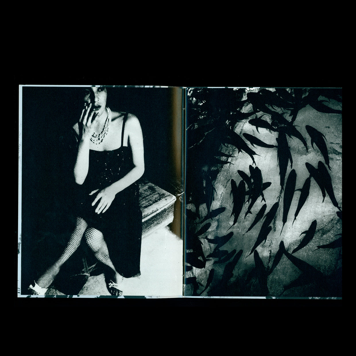 Fukei - Daido Moriyama (2015)