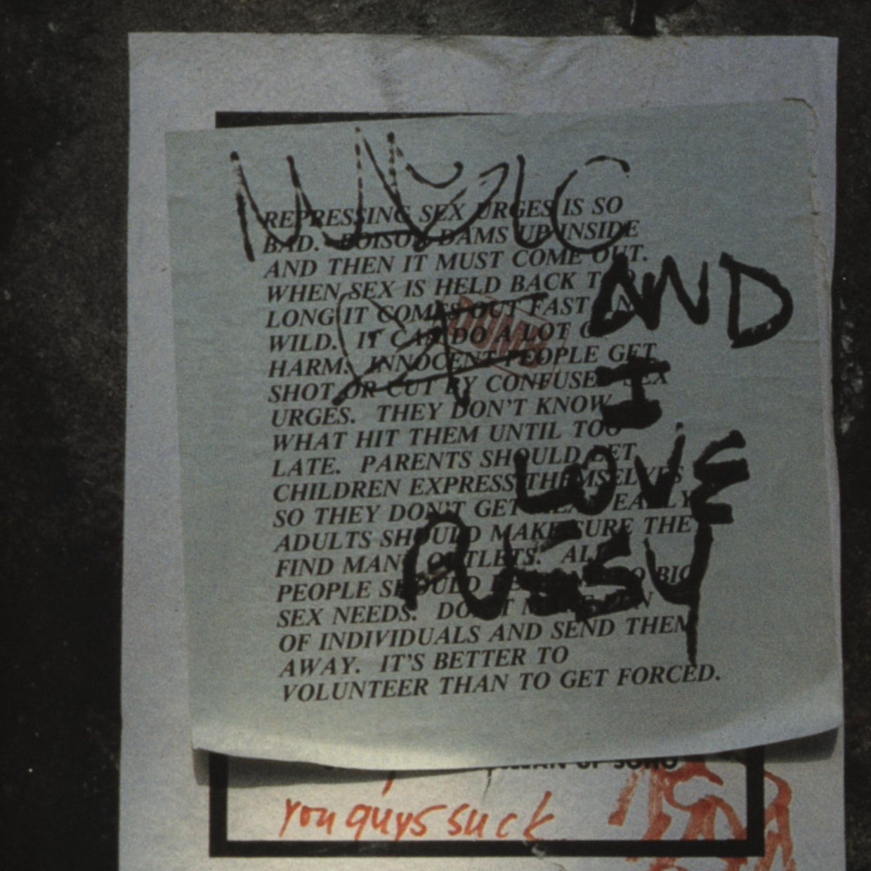 Jenny Holzer - In the Forest of Words (1994)