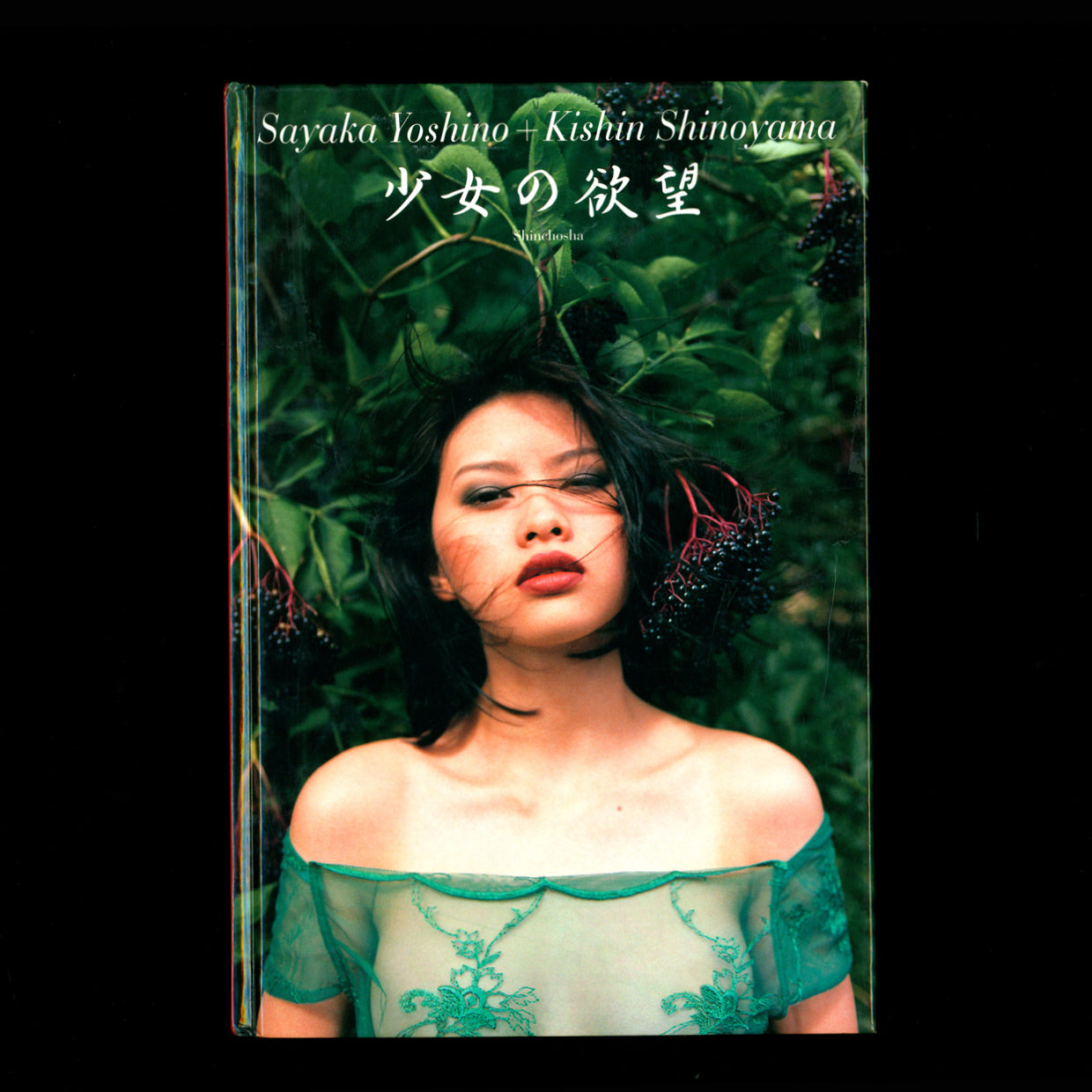 Shōjo no Yokubō - Sayaka Yoshino and Kishin Shinoyama (1999)