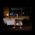 Lost in Translation, ArtistHouse (2003)