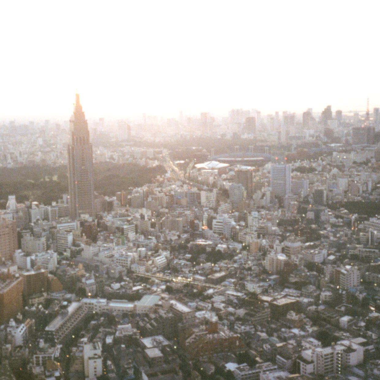 Cinema Rise No. 135 - Lost in Translation