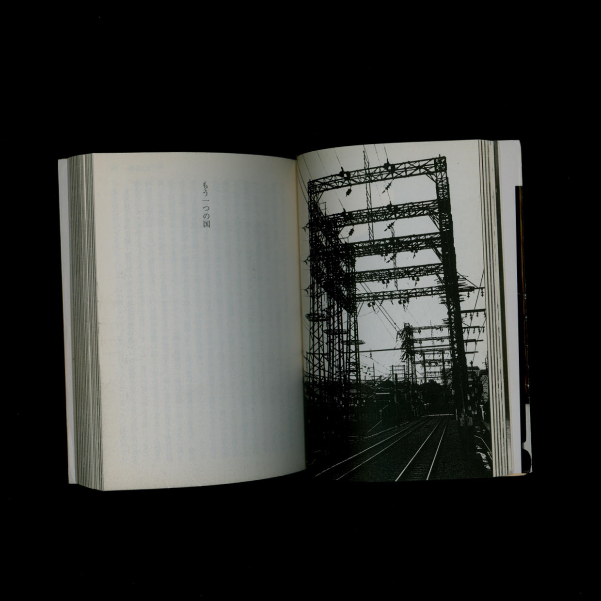 Memories of a Dog - Daido Moriyama (2001)