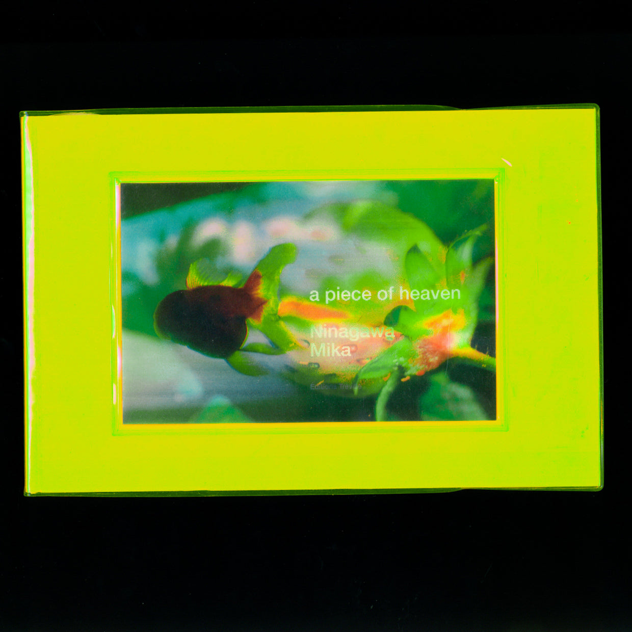 A piece of heaven - Mika Ninagawa (2002)