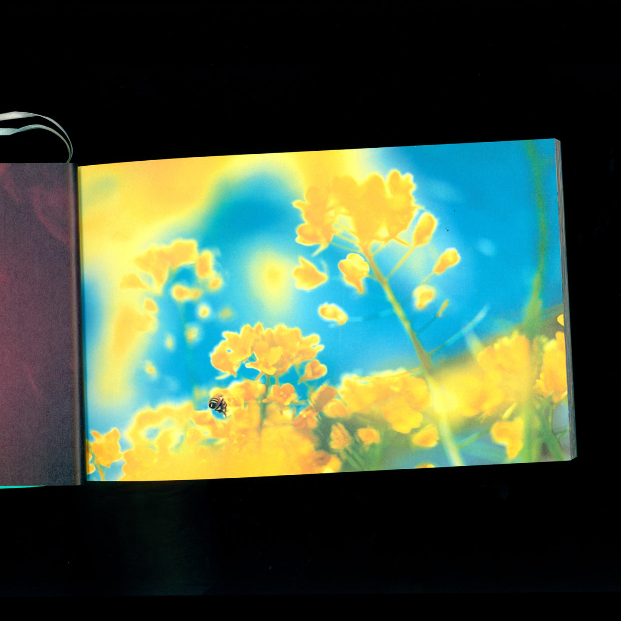 A piece of heaven - Mika Ninagawa (2002)