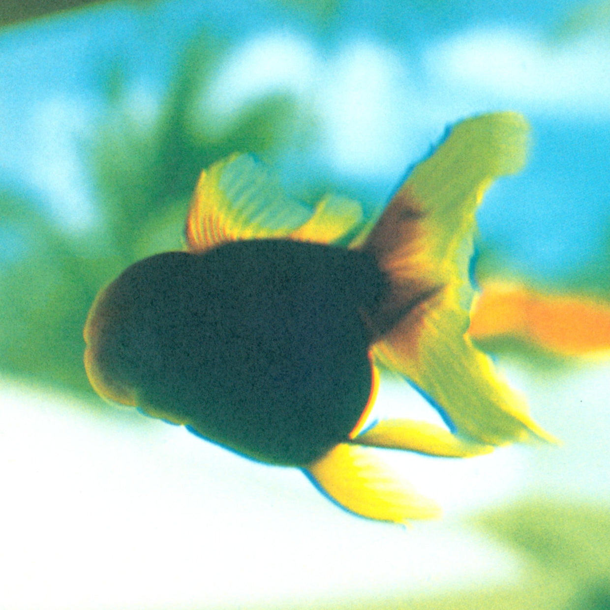 A piece of heaven - Mika Ninagawa (2002)