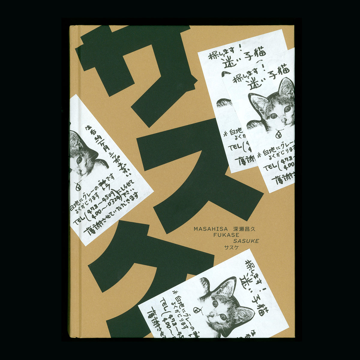 Masahisa Fukase - Sasuke (2021)