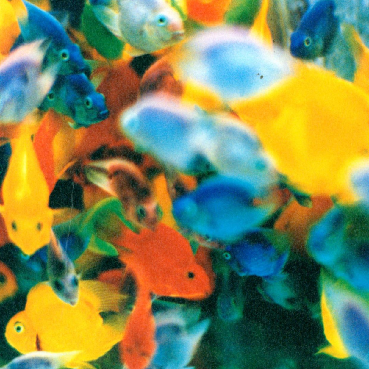 Self Image Catalogue - Mika Ninagawa (2015)