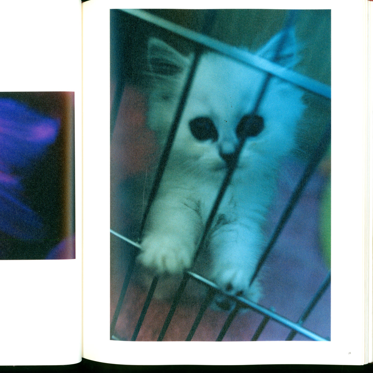Self Image Catalogue - Mika Ninagawa (2015)