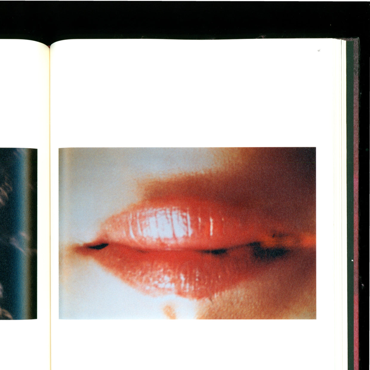 Self Image Catalogue - Mika Ninagawa (2015)