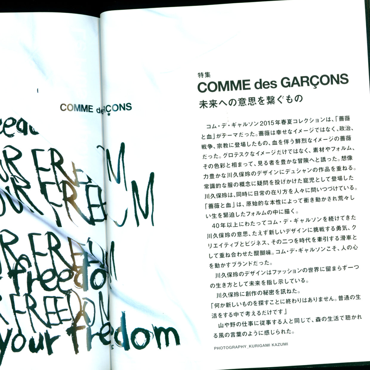 SWITCH Vol.33 NO.3 – Comme des Garçons (2015)