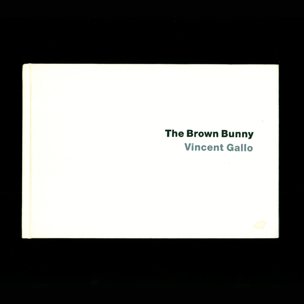 The Brown Bunny by Vincent Gallo (2003)