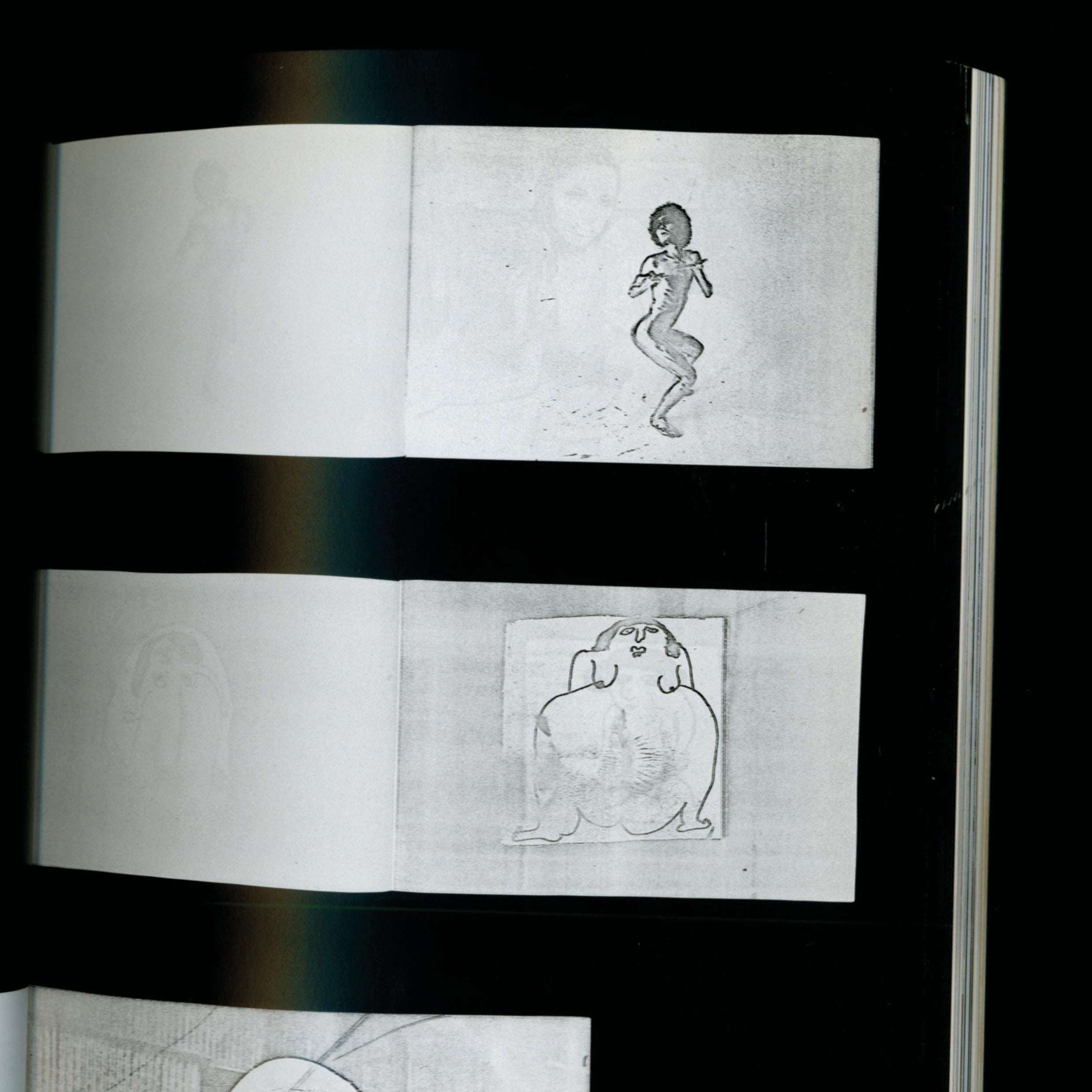 Nobuyoshi Araki - Xeroxed Photo Album No. 13 (1996)